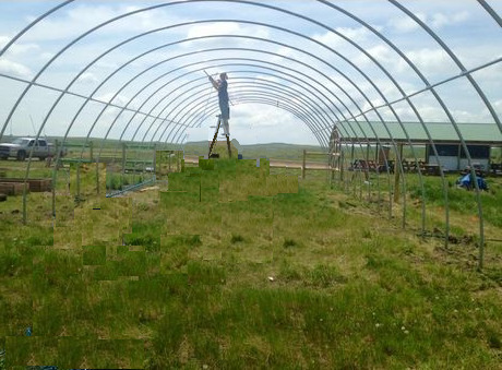 DIY搭建簡易溫室