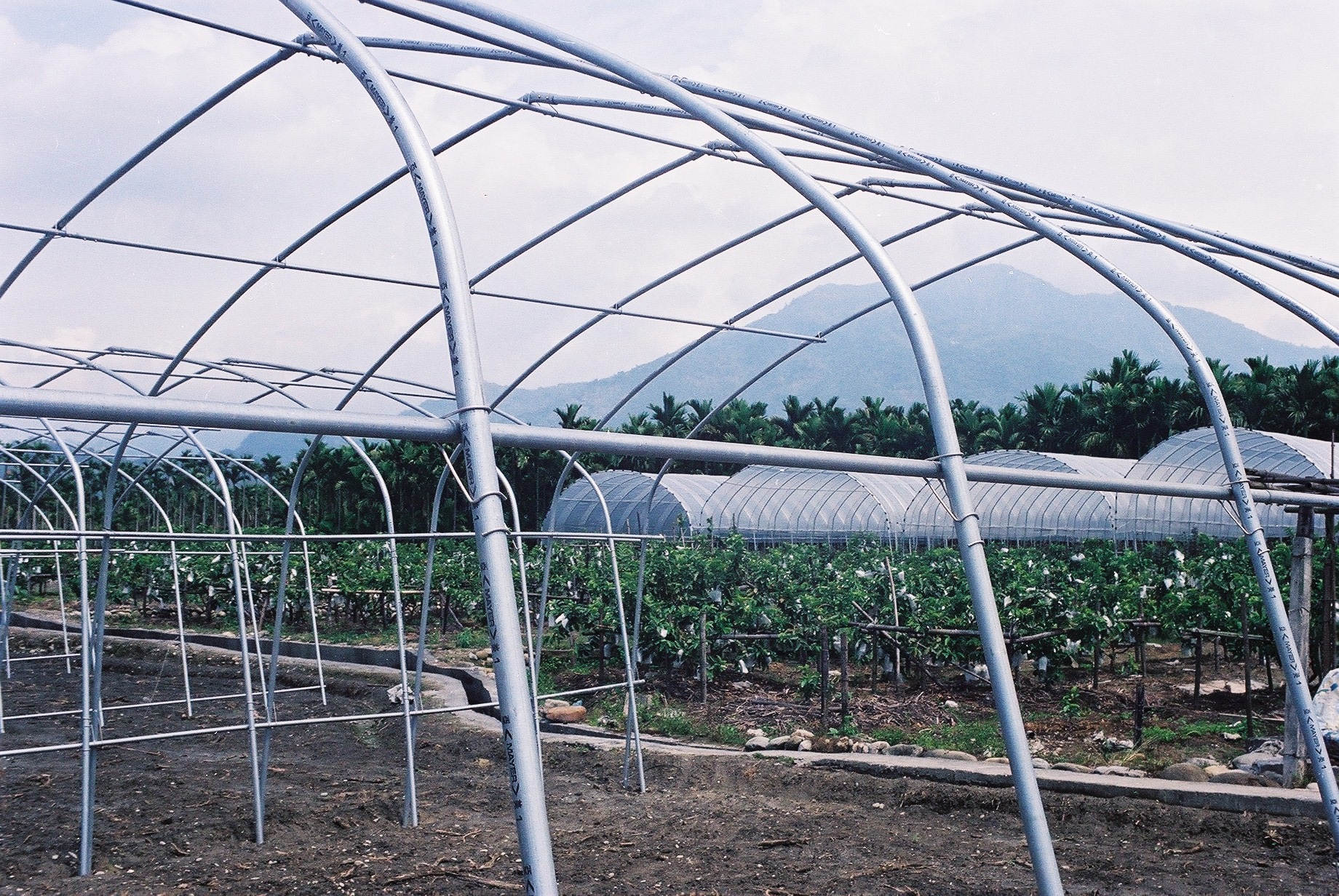 DIY搭建簡易溫室