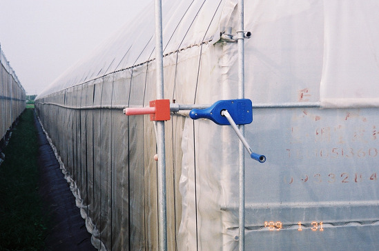 DIY搭建簡易溫室