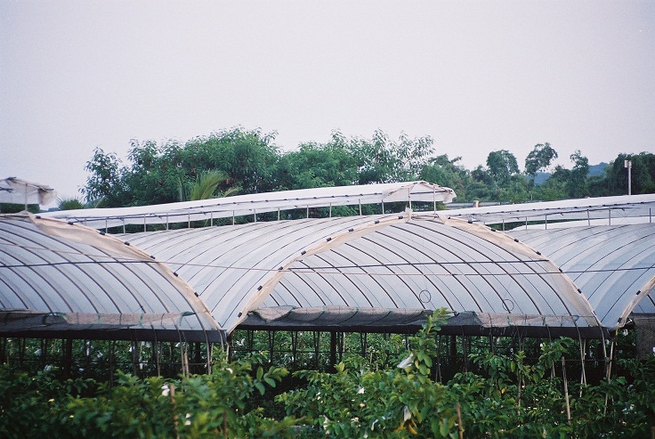 DIY搭建簡易溫室