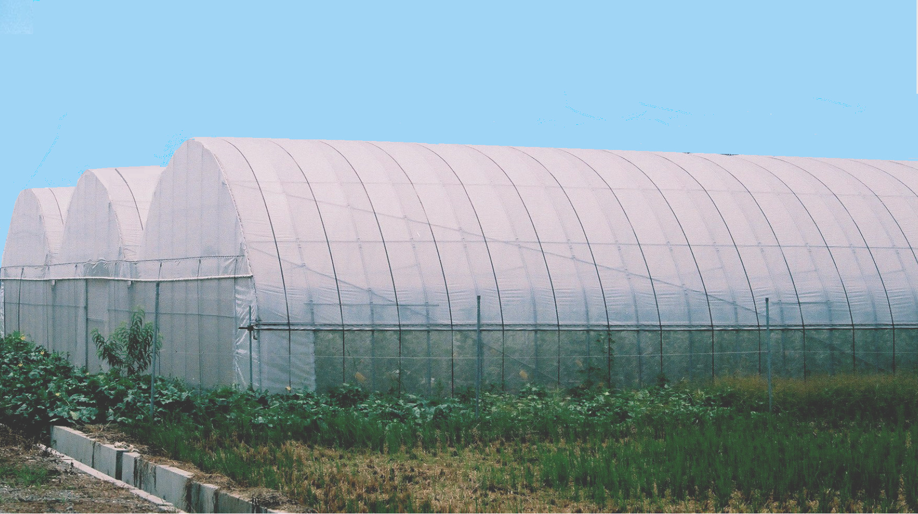 DIY搭建簡易溫室