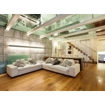 全新無毒不黏膠機能地板