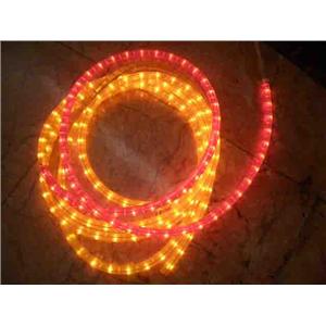 非霓虹 , 多智股份有限公司