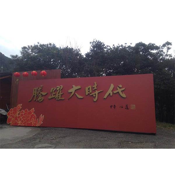 靈鷲山活動,中國洋森興業有限公司