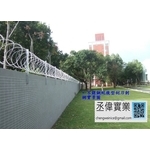 不銹鋼蛇腹型刺網 - 丞偉實業有限公司