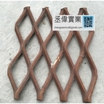 擴張網 - 丞偉實業有限公司