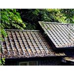 消光抗塵琉璃瓦 , 盛餘股份有限公司