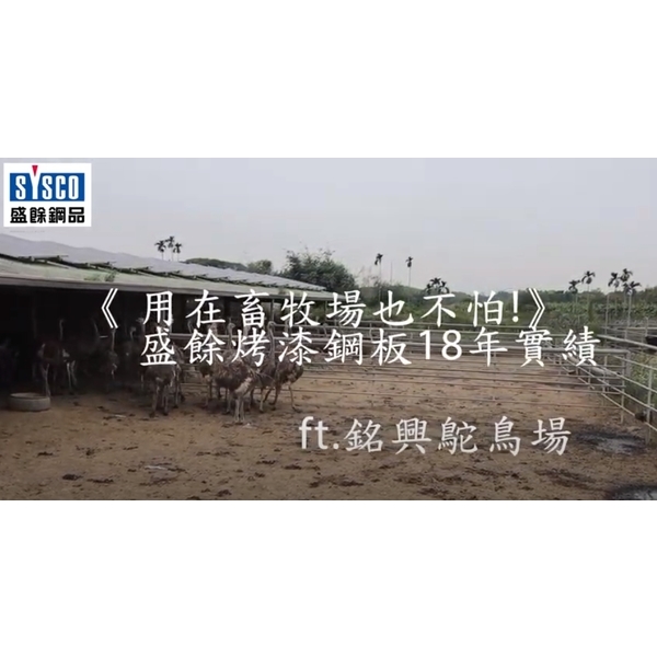 用在畜牧場也不怕! 盛餘烤漆鋼板18年實績 ft.銘興鴕鳥場,盛餘股份有限公司