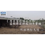 用在畜牧場也不怕! 盛餘烤漆鋼板18年實... 用在畜牧場也不怕! 盛餘烤漆鋼板18年實...