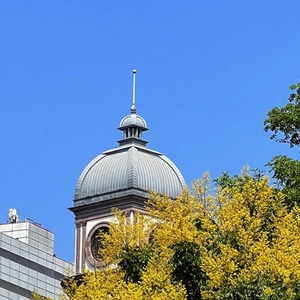 文華苑 東方酒店