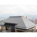 士林大紐約NO.2 - 海島工程有限公司