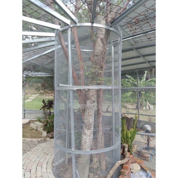 鳥園圍籬-統式鐵網工程