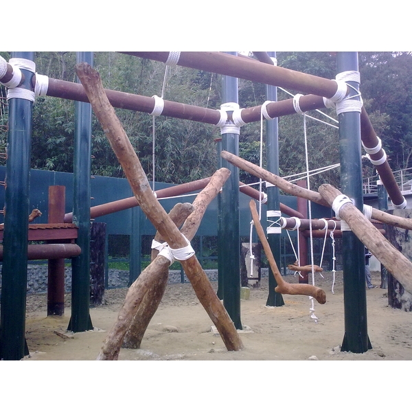 台北市立動物園-非週區黑猩猩展場,中辰室內裝修設計工程有限公司