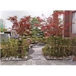 工程實績 - 大湖園藝企業社