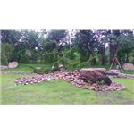 工程實績 - 大湖園藝企業社