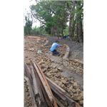 工程實績 - 大湖園藝企業社