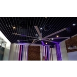 直升機大風扇 , 大穎實業有限公司