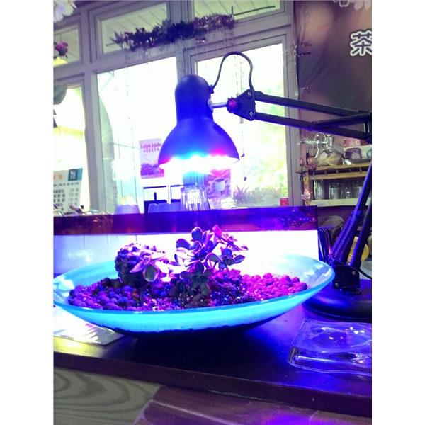 LED植物生長燈 LED植物生長燈,君沛國際股份有限公司