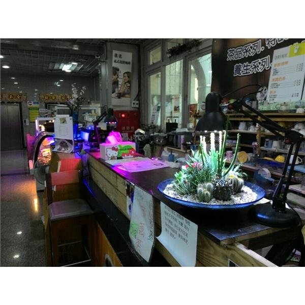 LED植物生長燈,君沛國際股份有限公司