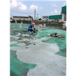 屋頂PU防水 - 萬能抓漏工程