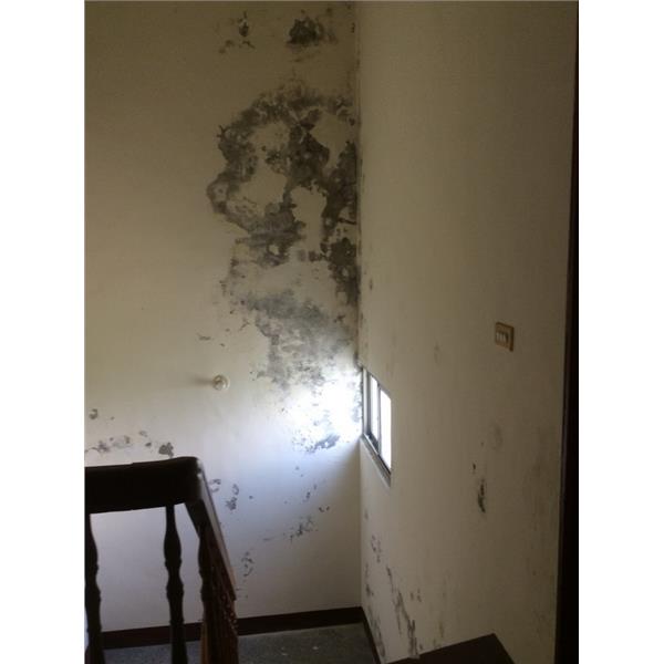 室內壁癌處理 室內壁癌處理,萬能抓漏工程