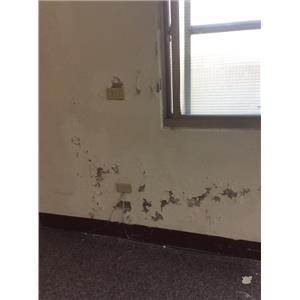 室內壁癌處理