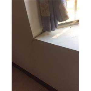 室內壁癌處理