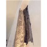 壁癌處理 - 萬能抓漏工程