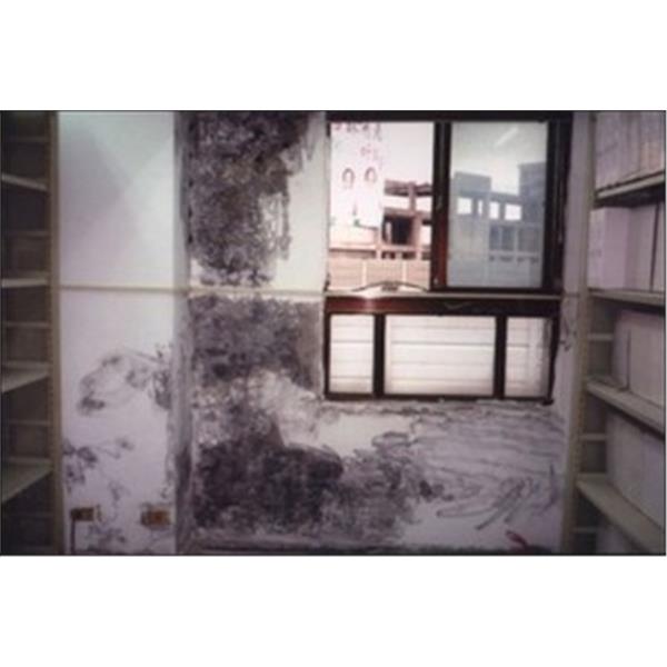 壁癌處理 壁癌處理,萬能抓漏工程