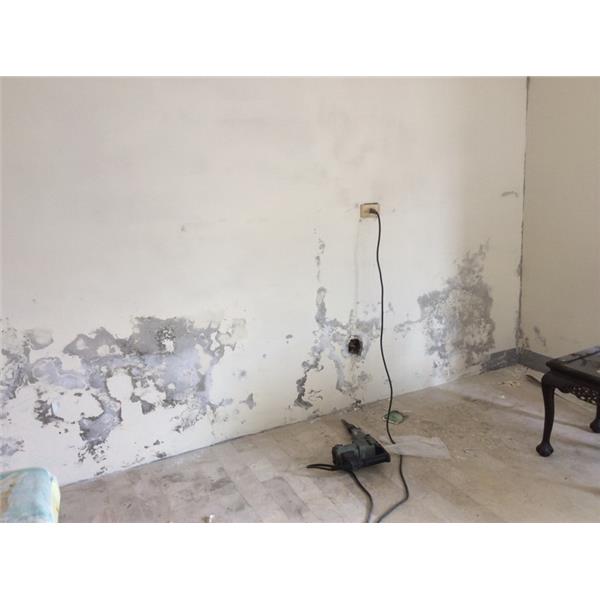 處理壁癌 處理壁癌,萬能抓漏工程