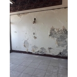 嚴重壁癌處理 - 萬能抓漏工程