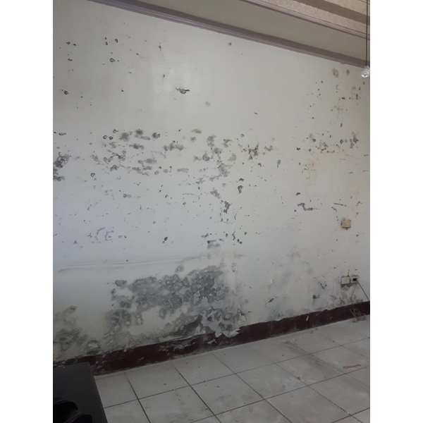 嚴重壁癌處理 嚴重壁癌處理,萬能抓漏工程