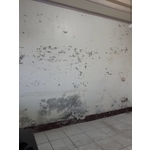 嚴重壁癌處理 - 萬能抓漏工程