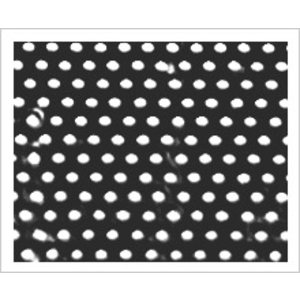 圓形沖孔,昌鑫製網股份有限公司