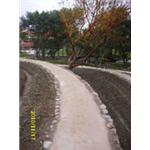 泥土(土壤)固化步道 - 泥固工程有限公司