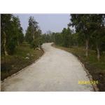 泥土(土壤)固化步道