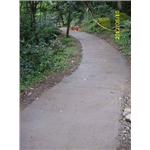 泥土(土壤)固化步道