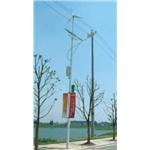 太陽能路燈-8米高 , 東陽能源科技股份有限公司