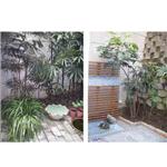 庭園施工前後 - 聲富工程有限公司