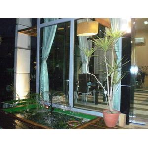 庭園造景 , 爵仕帝景觀室內設計工程有限公司