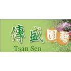 傳盛園藝設計有限公司,盆栽,花卉盆栽,室內盆栽
