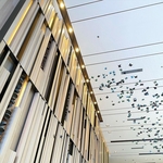 十字木紋天花/流明系列 - 宏睿興應用材料有限公司