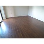 仿實木精緻手雕超耐磨地板 , 康樹地板