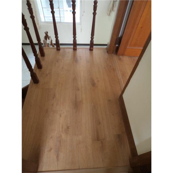 PD8101v 倫敦橡木,康樹地板