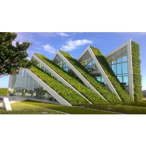 屋頂綠化-花蓮洄瀾灣