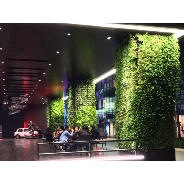室內綠牆-台南新天地,中台綠景股份有限公司