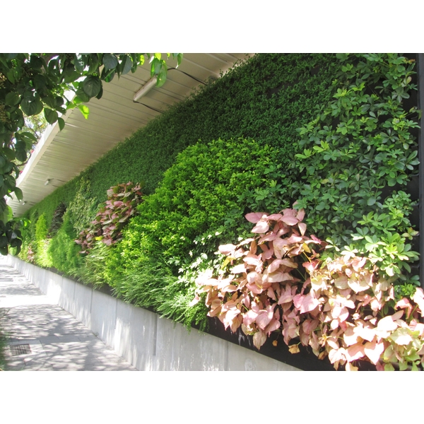 工程綠圍籬-南山人壽