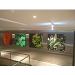 畫布 , 宗冠廣告設計社