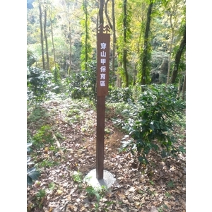 標示牌 , 宗冠廣告設計社