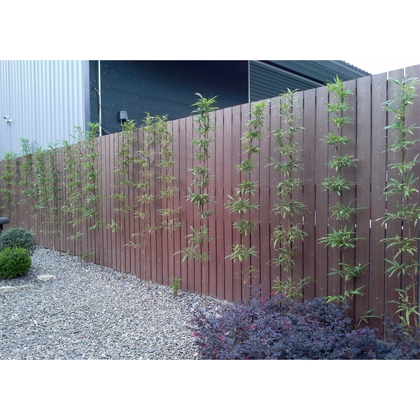 塑木格柵,亞竹企業股份有限公司